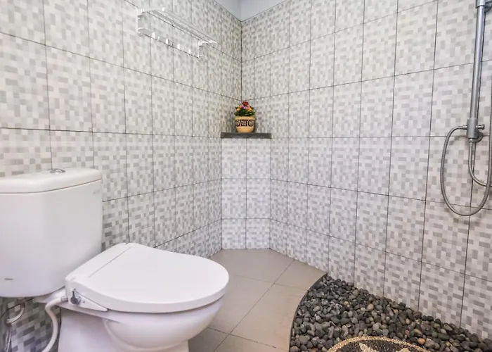 Mojito Guest house Kubutambahan (Bali)